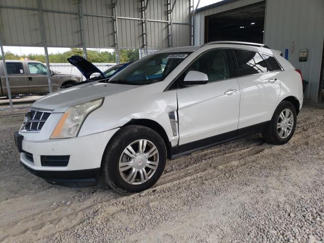 CADILLAC SRX LUXURY 2011 with VIN 3GYFNDEY0BS522876 - Photo from auction