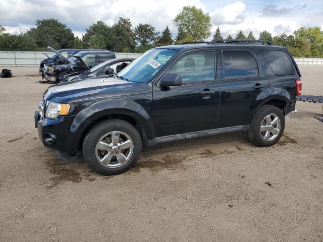 FORD ESCAPE XLT 2011 with VIN 1FMCU0DGXBKB78199 - Photo from auction