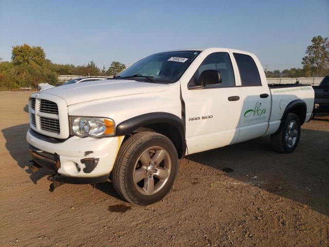 DODGE RAM 1500 S 2003 with VIN 1D7HU18D03S246226 - Photo from auction