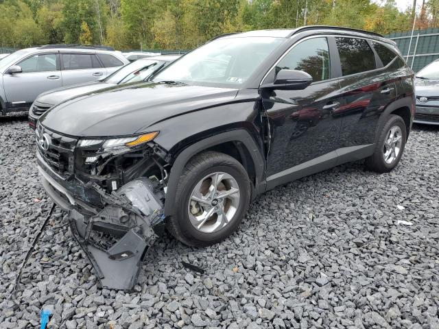 HYUNDAI TUCSON SEL 2023 with VIN 5NMJBCAE2PH161406 - Photo from auction