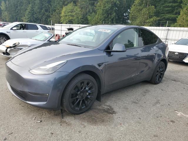 TESLA MODEL Y 2023 with VIN 7SAYGDEE7PF883586 - Photo from auction