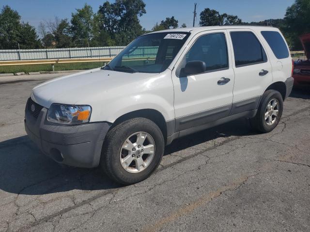 FORD ESCAPE XLT 2007 with VIN 1FMCU03157KB09196 - Photo from auction
