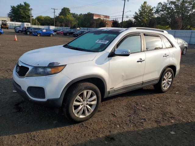 KIA SORENTO BA 2011 with VIN 5XYKTDA22BG178187 - Photo from auction