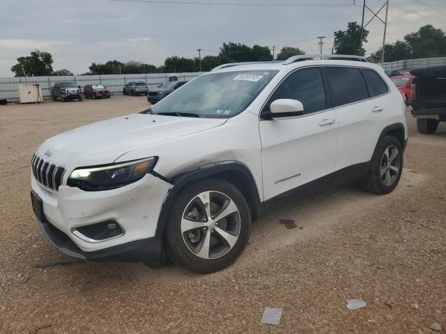 JEEP CHEROKEE 2021 with VIN 1C4PJMDX6MD197491 - Photo from auction