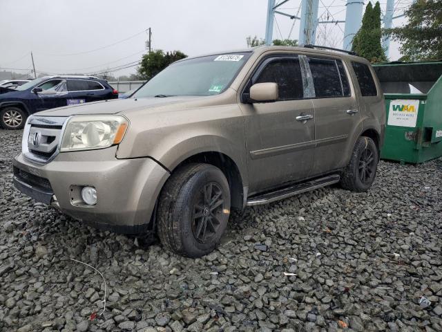 HONDA PILOT EXL 2009 with VIN 5FNYF48599B030699 - Photo from auction