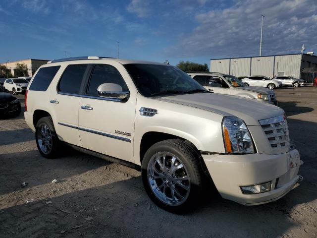Photo 4 from auction – 2010 CADILLAC ESCALADE P with VIN 1GYUKCEF1AR265978