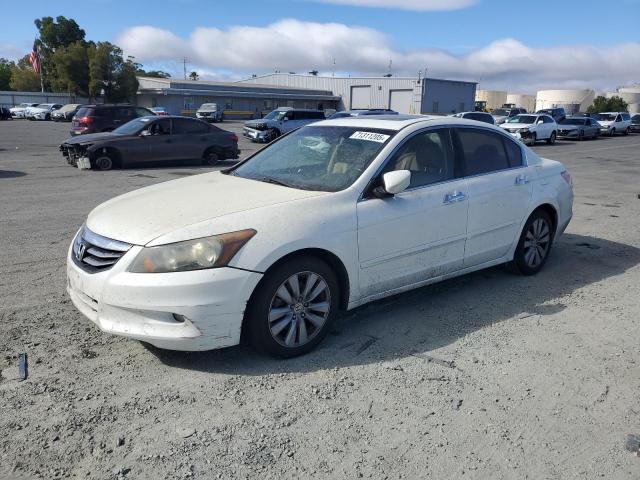HONDA ACCORD EXL 2011 with VIN 1HGCP3F83BA009300 - Photo from auction