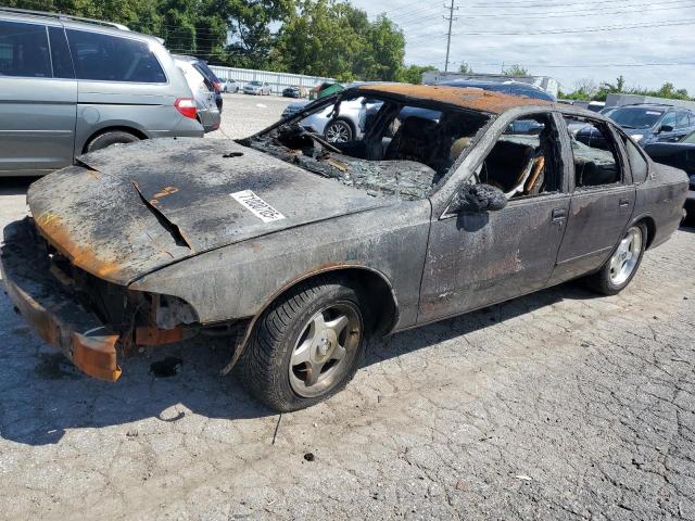 CHEVROLET CAPRICE / 1995 with VIN 1G1BL52PXSR137297 - Photo from auction