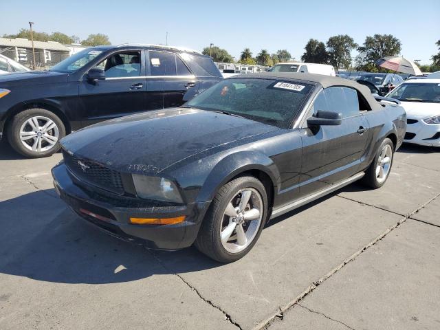 Photo 1 from auction – 2005 FORD MUSTANG with VIN 1ZVFT84N255254032
