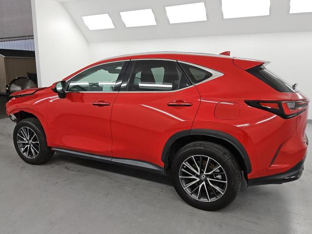 Photo 2 from auction – 2023 LEXUS NX 250 with VIN 2T2ADCAZ8PC004865