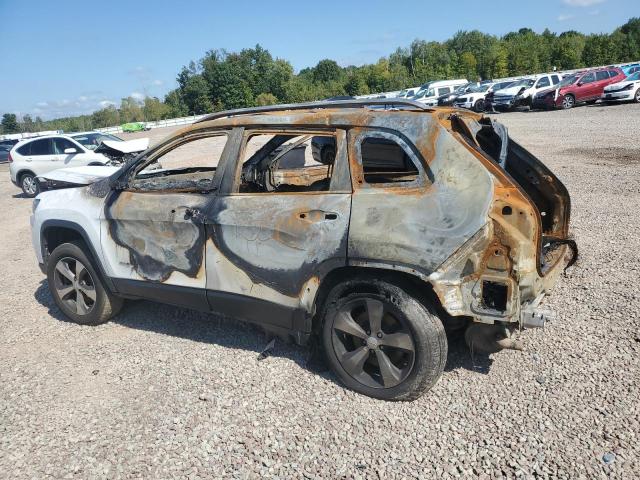 Photo 2 from auction – 2019 JEEP CHEROKEE L with VIN 1C4PJMDX1KD368225