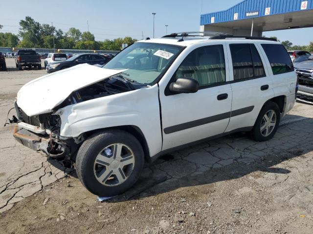 CHEVROLET TRAILBLAZER LS 2005 with VIN 1GNDS13SX52134564 - Photo from auction