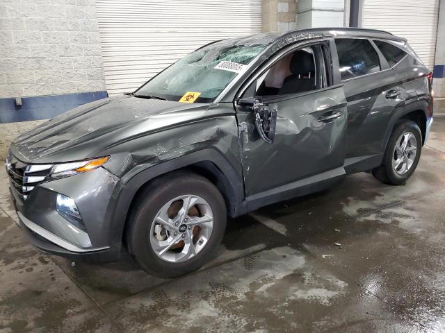 HYUNDAI TUCSON SEL 2023 with VIN 5NMJBCAE6PH161733 - Photo from auction