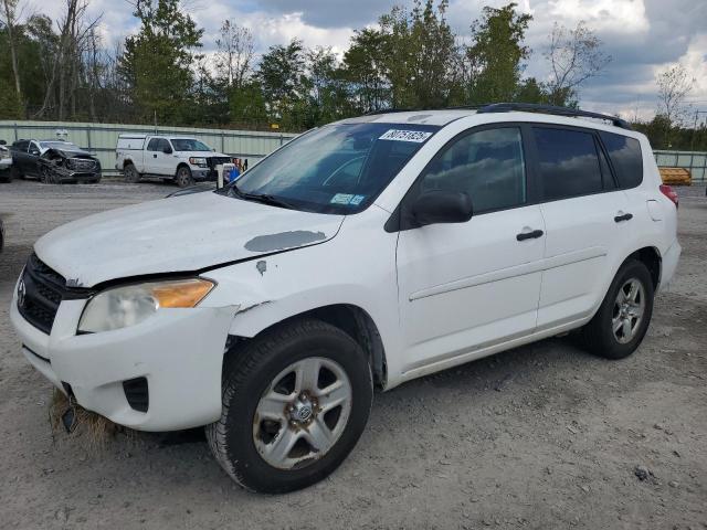 TOYOTA RAV4 2011 with VIN 2T3BF4DV3BW104355 - Photo from auction