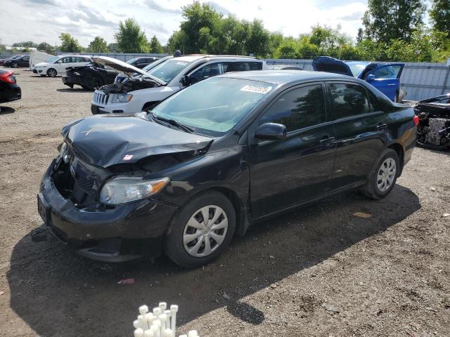 TOYOTA COROLLA 2010 with VIN 2T1BU4EE1AC419166 - Photo from auction