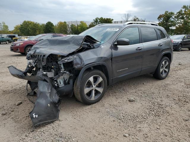 JEEP CHEROKEE L 2020 with VIN 1C4PJMDX7LD641475 - Photo from auction
