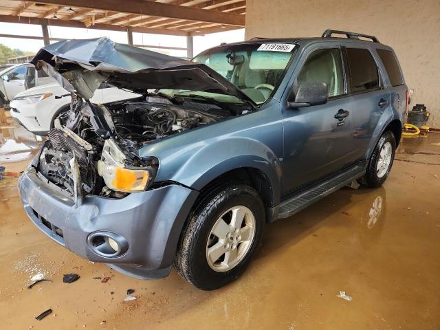 FORD ESCAPE XLT 2011 with VIN 1FMCU0D73BKB43830 - Photo from auction