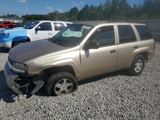 CHEVROLET TRAILBLAZER LS 2006 with VIN 1GNDT13S062118078 - Photo from auction