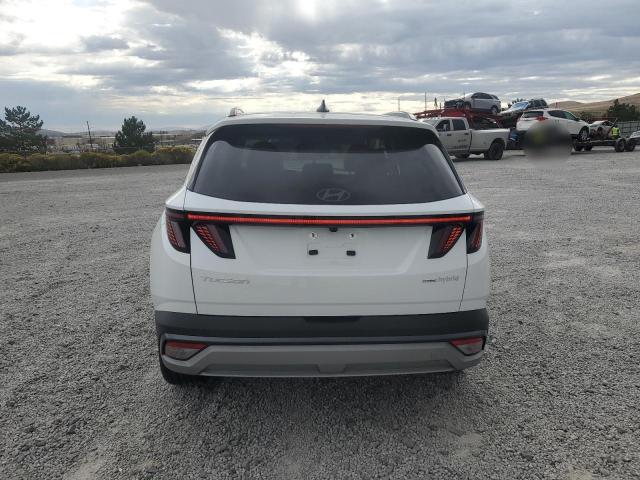 Photo 6 from auction – 2025 HYUNDAI TUCSON LIM with VIN KM8JEDD18SU287286