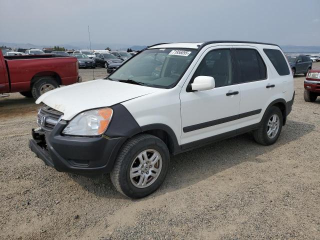 HONDA CR-V EX 2002 with VIN JHLRD77872C018967 - Photo from auction
