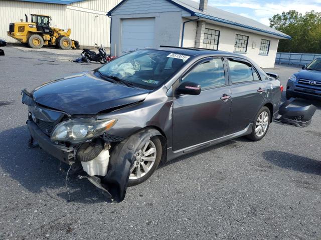 TOYOTA COROLLA BA 2009 with VIN 2T1BU40EX9C124201 - Photo from auction