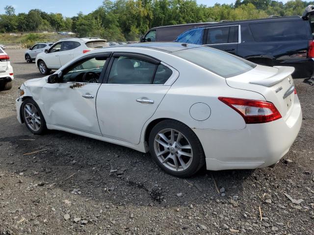 Photo 2 from auction – 2009 NISSAN MAXIMA S with VIN 1N4AA51E29C845703