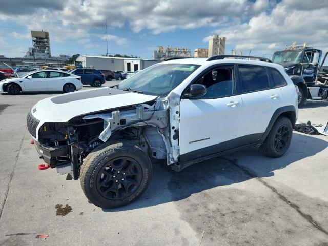JEEP CHEROKEE T 2022 with VIN 1C4PJMBX2ND504076 - Photo from auction