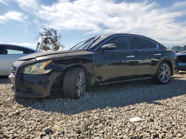 NISSAN MAXIMA S 2011 with VIN 1N4AA5AP9BC838786 - Photo from auction