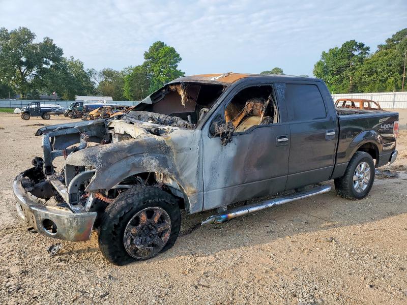 FORD F150 SUPERCREW 2014 with VIN 1FTFW1EF0EKD09572 - Photo from auction