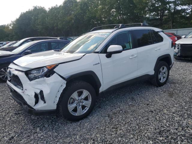 TOYOTA RAV4 XLE 2019 with VIN 2T3RWRFV9KW032103 - Photo from auction