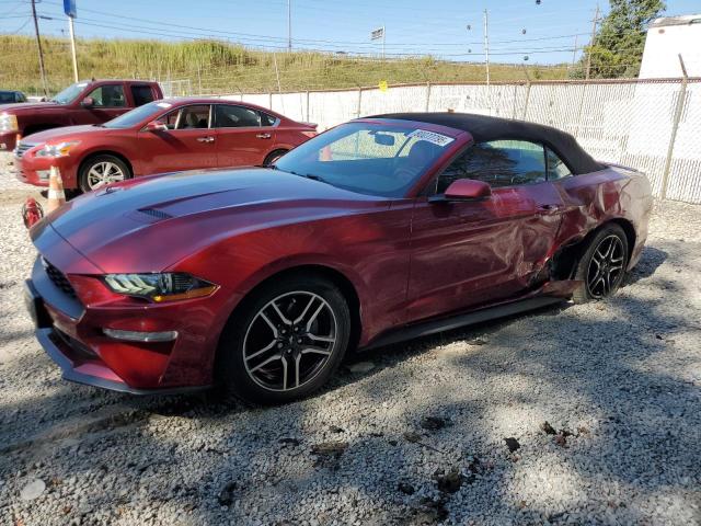 FORD MUSTANG 2019 with VIN 1FATP8UH8K5204094 - Photo from auction
