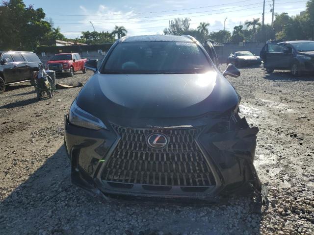 Photo 5 from auction – 2024 LEXUS NX 250 BAS with VIN 2T2ADCAZ9RC013156
