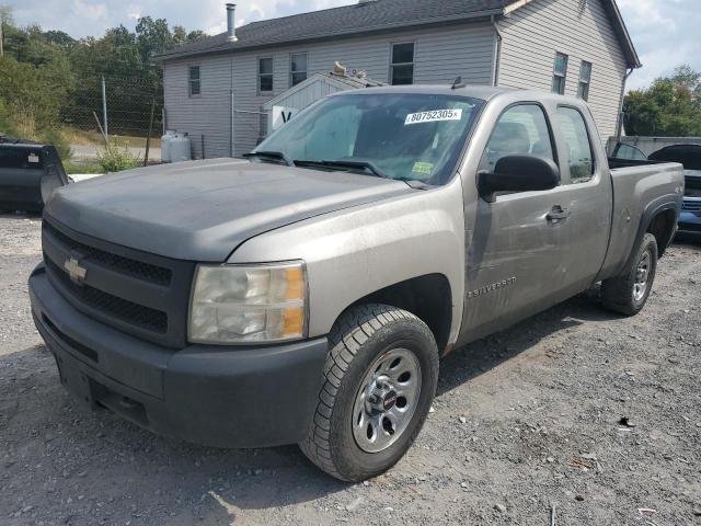 CHEVROLET SILVERADO 2009 with VIN 1GCEK19099Z125371 - Photo from auction