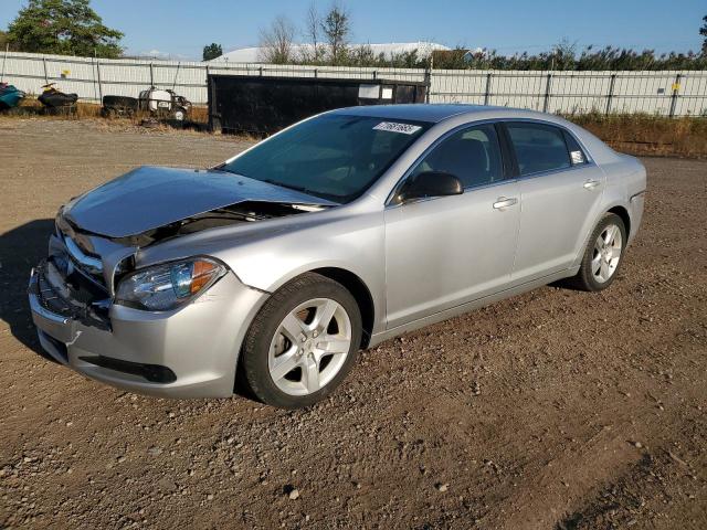 CHEVROLET MALIBU LS 2011 with VIN 1G1ZB5E18BF392119 - Photo from auction