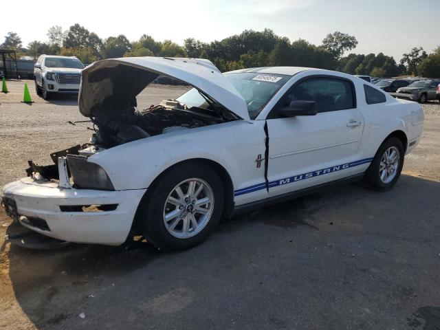 FORD MUSTANG 2007 with VIN 1ZVFT80N575280794 - Photo from auction