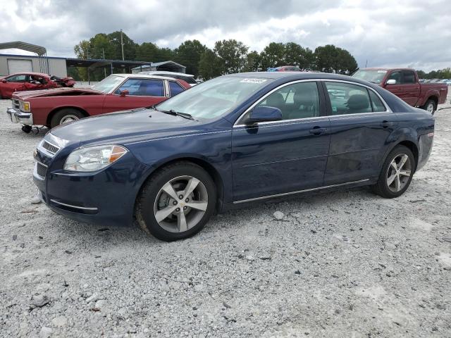 CHEVROLET MALIBU 1LT 2011 with VIN 1G1ZC5E18BF383563 - Photo from auction