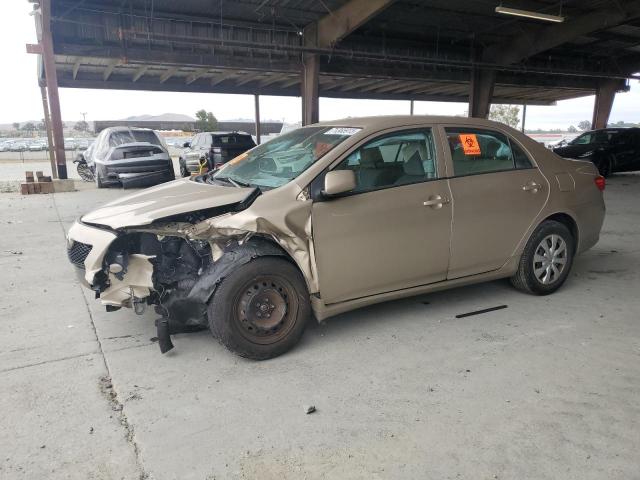 TOYOTA COROLLA BA 2010 with VIN 2T1BU4EE1AC402254 - Photo from auction