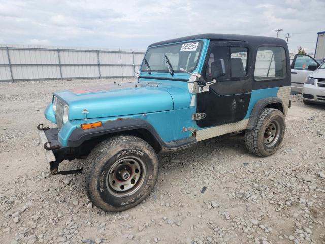 JEEP WRANGLER / 1995 with VIN 1J4FY19P7SP273157 - Photo from auction