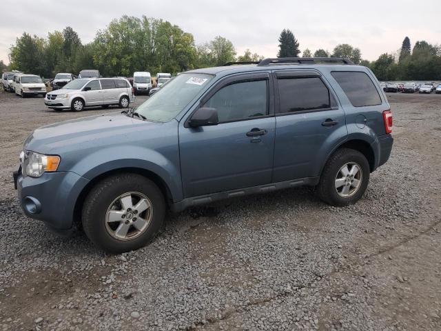FORD ESCAPE XLT 2011 with VIN 1FMCU0D77BKA57419 - Photo from auction