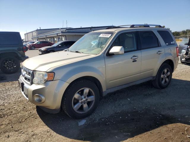 FORD ESCAPE LIM 2011 with VIN 1FMCU0EG6BKC21564 - Photo from auction