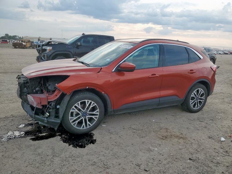 FORD ESCAPE SEL 2020 with VIN 1FMCU0H60LUA81312 - Photo from auction