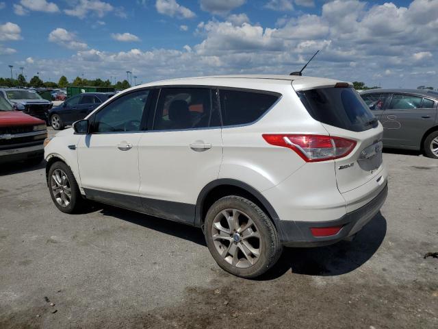Photo 2 from auction – 2013 FORD ESCAPE SEL with VIN 1FMCU0HXXDUC16810
