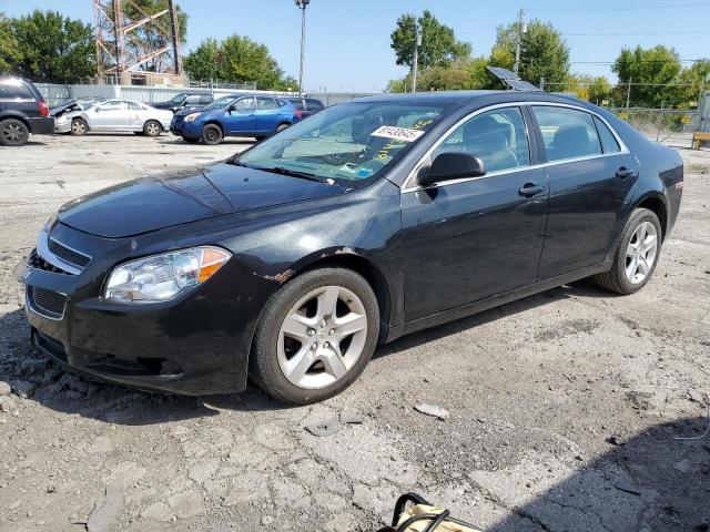 CHEVROLET MALIBU LS 2011 with VIN 1G1ZB5E12BF186715 - Photo from auction