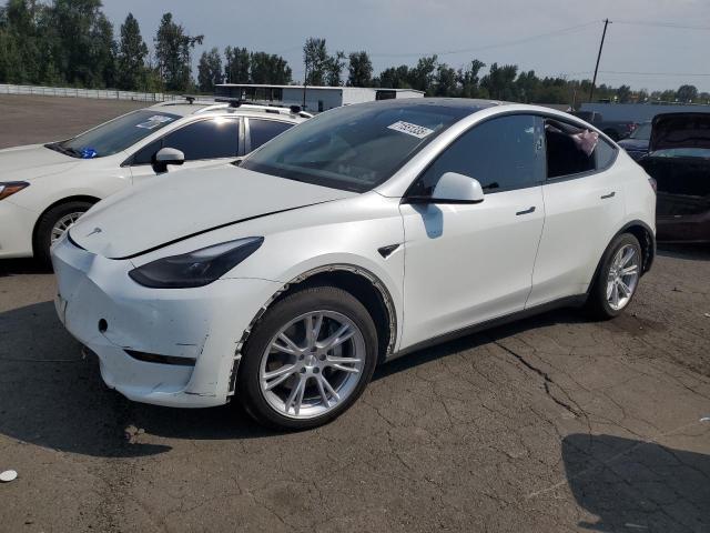 TESLA MODEL Y 2023 with VIN 7SAYGAEE0PF785918 - Photo from auction