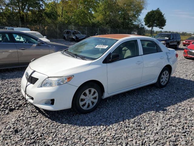 TOYOTA COROLLA BASE 2009 with VIN JTDBL40E19J000454 - Photo from auction