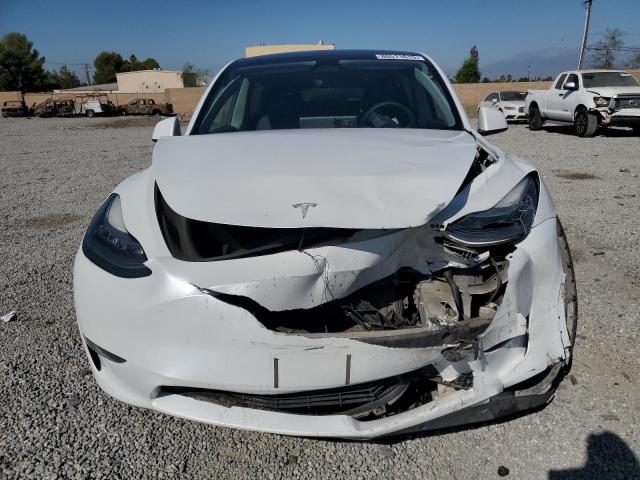 Photo 5 from auction – 2023 TESLA MODEL Y with VIN 7SAYGDEE0PA110021