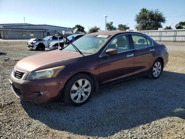 HONDA ACCORD EXL 2010 with VIN 5KBCP3F86AB014058 - Photo from auction