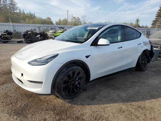 TESLA MODEL Y 2021 with VIN 5YJYGDEE5MF067517 - Photo from auction