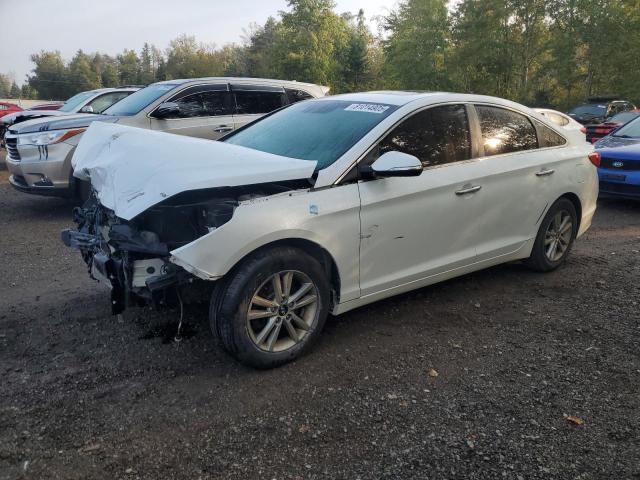 HYUNDAI SONATA SE 2017 with VIN 5NPE24AF2HH459314 - Photo from auction