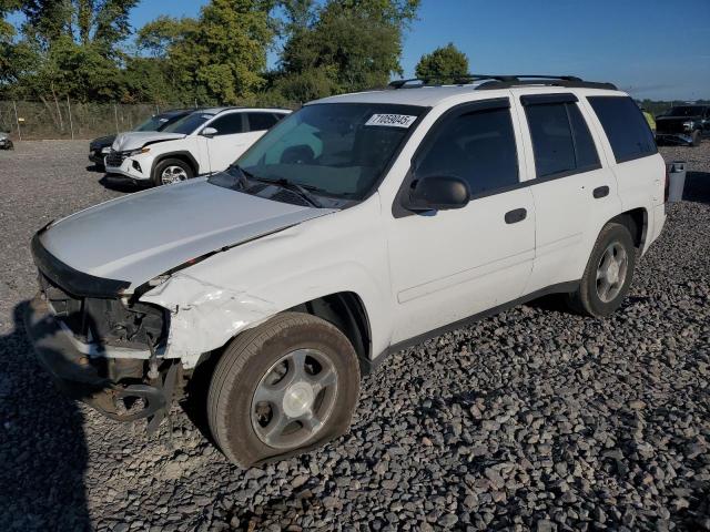 CHEVROLET TRAILBLAZER 2007 with VIN 1GNDT13S572240968 - Photo from auction